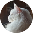Christina R. profile picture